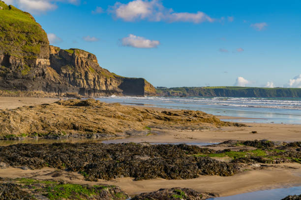 istock Druidston Haven, Pembrokeshire, Wales, UK 893395576