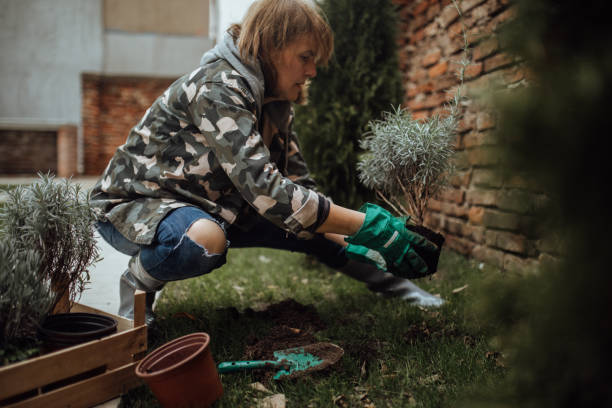 istock Senior woman gardening 893395784