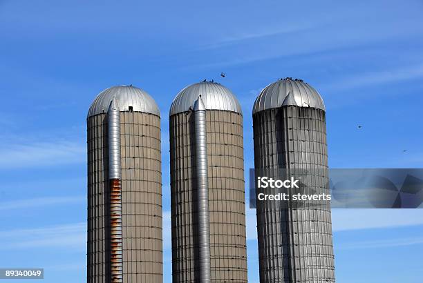Three Silos And Pigeons Stock Photo - Download Image Now - Agriculture, Bird, Blue