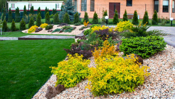 istock A flower bed with various ornamental plants, strewn with marble chips 893403498