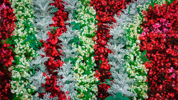 istock Flowerbed Japanese style, using annual multicolored flowers 893403710