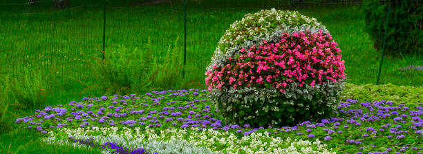 estilo japonés de flores, con flores multicolores anuales - scented asia asian culture bunch fotografías e imágenes de stock