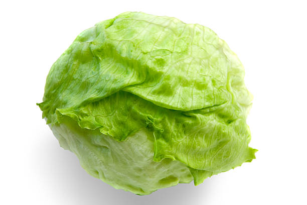 Iceberg Lettuce  green leaf lettuce stock pictures, royalty-free photos & images