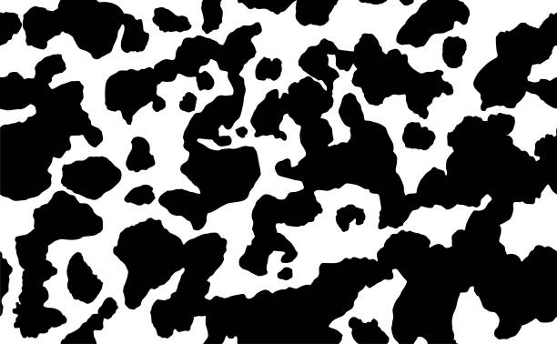 kuhtentextur, schwarz-weiß-spot wiederholt nahtlose muster. tierdruck dalmatinischen hundefarben. vektor - animal skin stock-grafiken, -clipart, -cartoons und -symbole