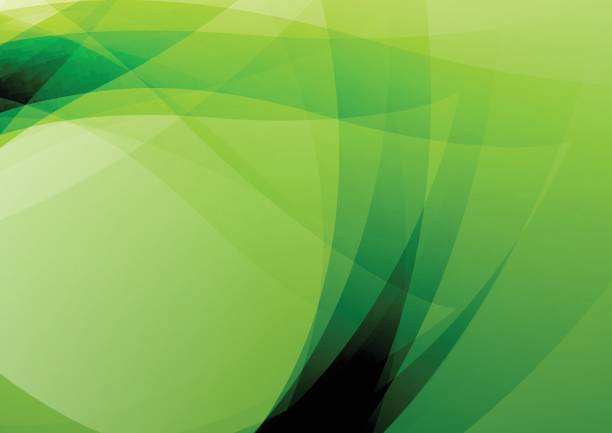 Abstract green leaf background Green leaf abstract background.Vector illustration. green science background stock illustrations
