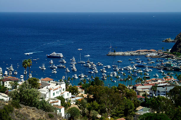 istock Ocean-facing View of Avalon Harbor 89341684