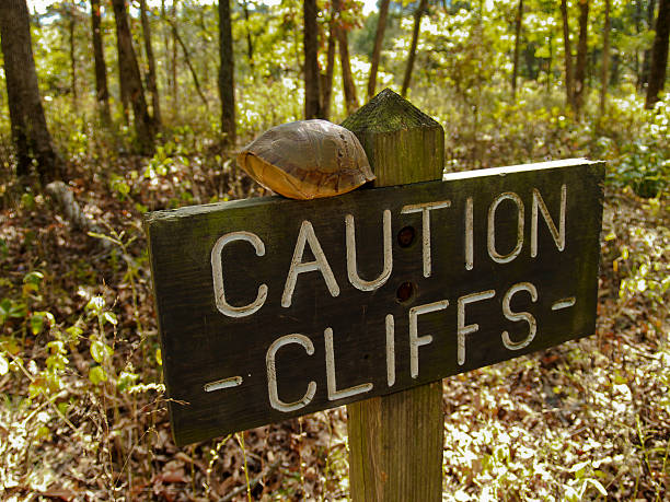 Turtle en Cliffs - foto de stock