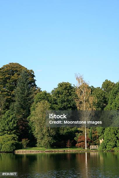 Sheffield Park In England Stock Photo - Download Image Now - Blue, Bush, Color Image