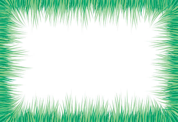 Grass Frame vector art illustration