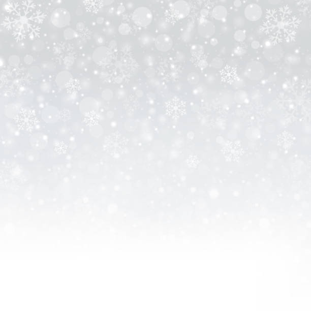istock Snowflakes of Winter Christmas in gradient grey background, illustration vector 893420262