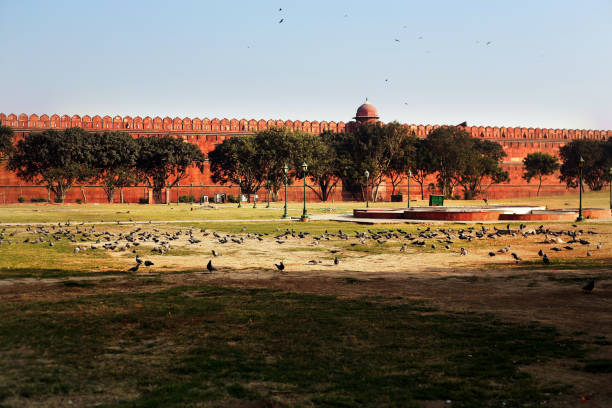 istock Red Fort Delhi, India 893420562