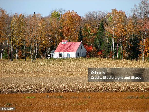 시골길 하우스 골든 Cornfield 곡초류에 대한 스톡 사진 및 기타 이미지 - 곡초류, 퀘벡, 0명