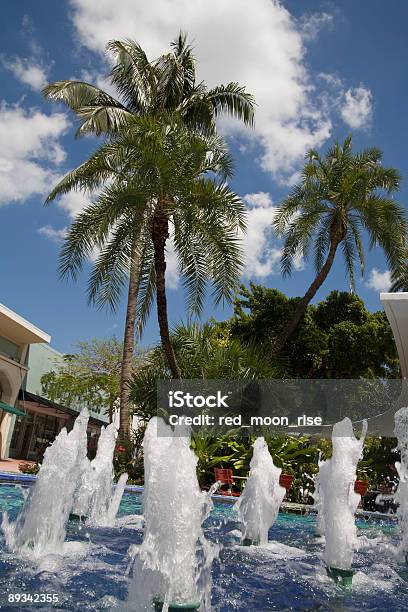 Foto de Lincoln Road Mall Xl e mais fotos de stock de Arbusto Tropical - Arbusto Tropical, Azul Real, Característica de construção