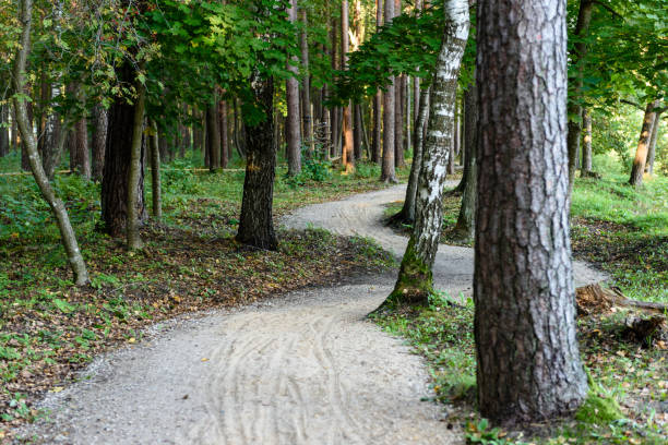 istock empty road in the countryside in summer. gravel surface 893430456