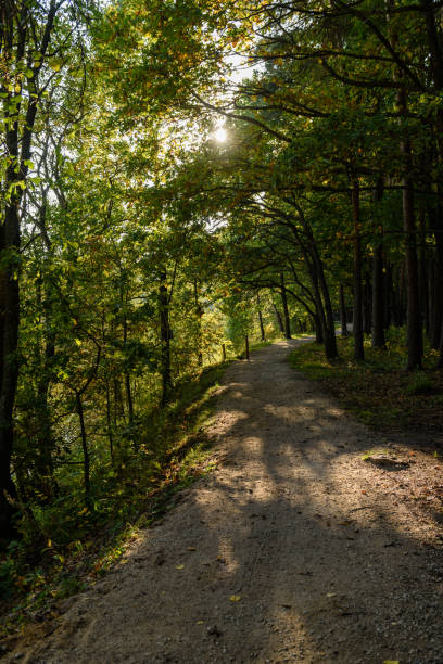istock empty road in the countryside in summer. gravel surface 893430472