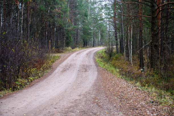 istock empty forest road in the countryside in autumn. gravel surface 893430568