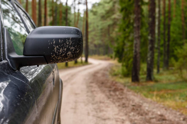 istock natural landscape reflection in cars mirror 893430696
