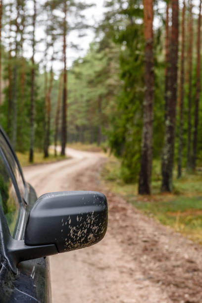 natural landscape reflection in cars mirror