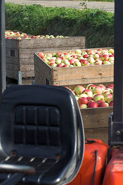 250+ Michigan Apples Stock Photos, Pictures & Royalty-Free Images - iStock