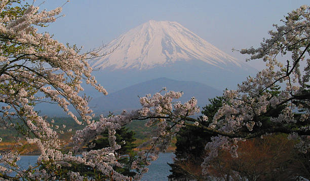 Mount Fuji in Spring stock photo