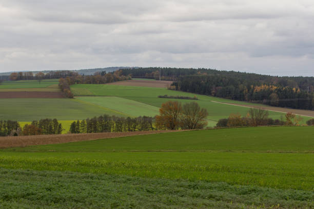 istock Autumn landscape next to Schwandorf 893449252
