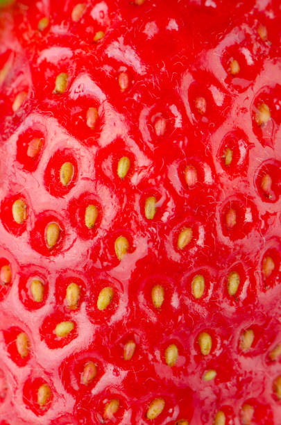 istock Macro of a strawberry texture 893449834
