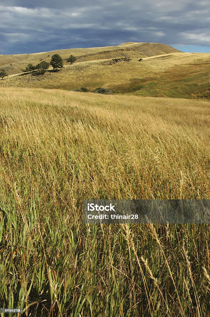 prairie paisagem - Foto de stock de Planície royalty-free