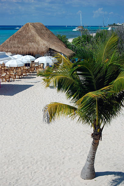 istock Caribbean Beach, paradise - more in portfolio 89345351