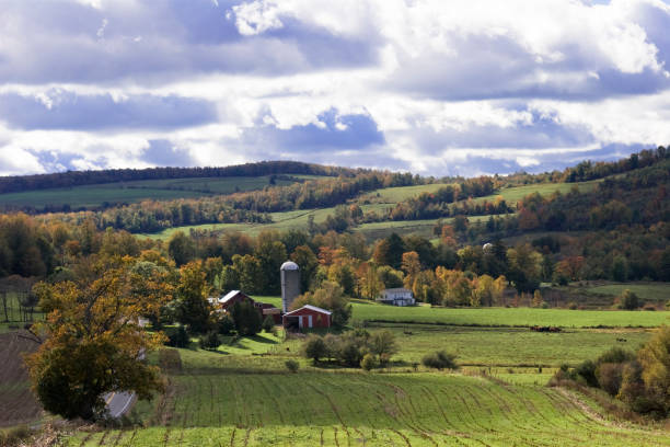 istock Red Dairy Barn in Autumn 89345872