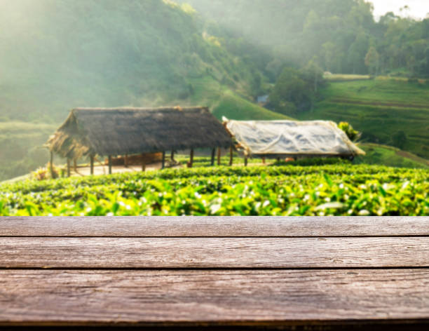 istock Table top on tea plantation and pavilion 893459696