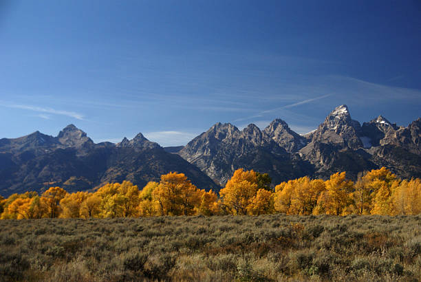 istock Grand Teton with autumn golden aspens 89346029
