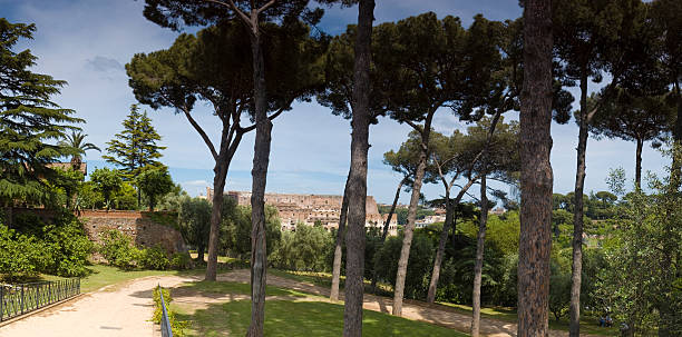 istock Coliseum from Palatine Hill, Rome 89346094