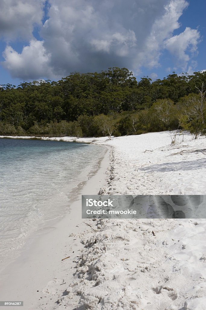 Frazer island  Australia Stock Photo