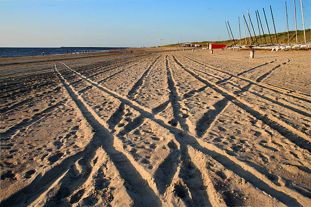 las pistas - sand footprint track following fotografías e imágenes de stock