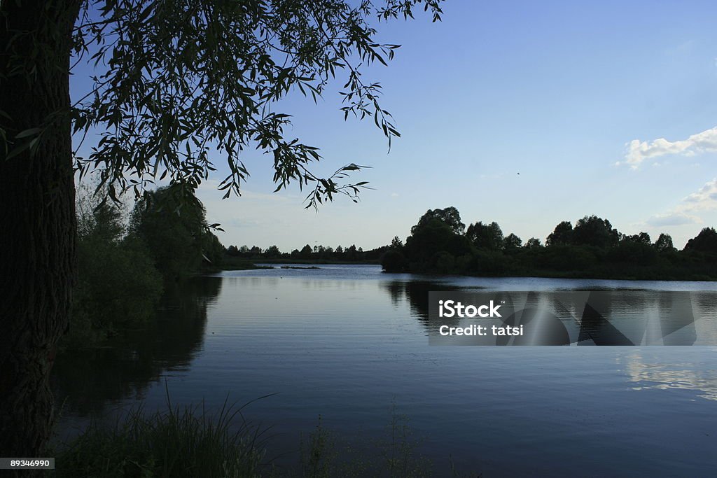 Lake in the evening  Affectionate Stock Photo