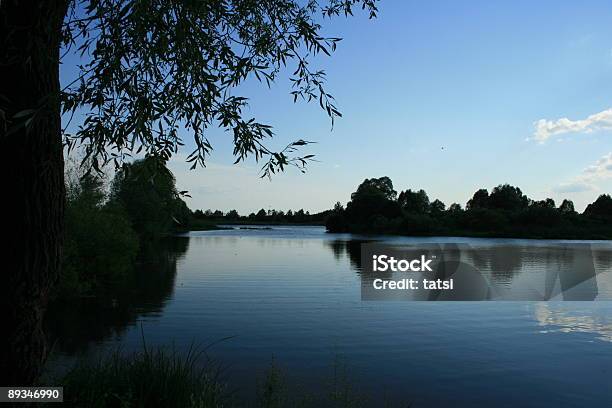 Lake In The Evening Stock Photo - Download Image Now - Affectionate, Beauty In Nature, Belarus