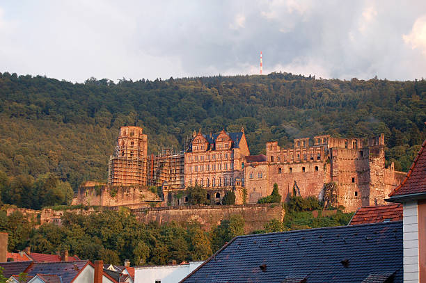 heidelberg, germania - hausdach foto e immagini stock