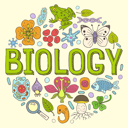 Creative hand drawn vector Biology background with doodle icons arranged in a circle.