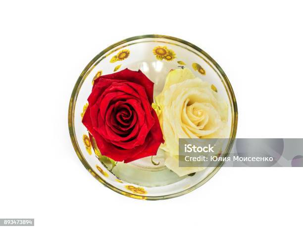 One Rose In A Glass On A White Background Stock Photo - Download Image Now - Alcohol - Drink, Anniversary, Beauty