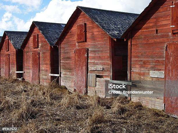 Cztery Czerwone Budynki Zewnętrzne - zdjęcia stockowe i więcej obrazów Alberta - Alberta, Rangeland, Bez ludzi