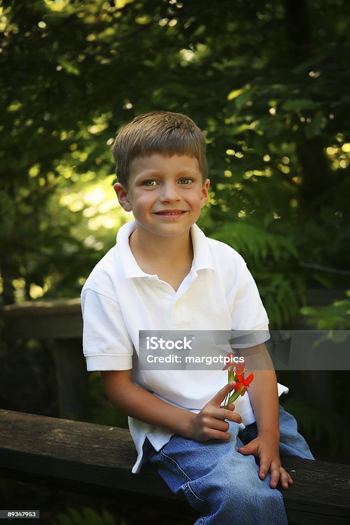 Ragazzo nei boschi - Foto stock royalty-free di Albero