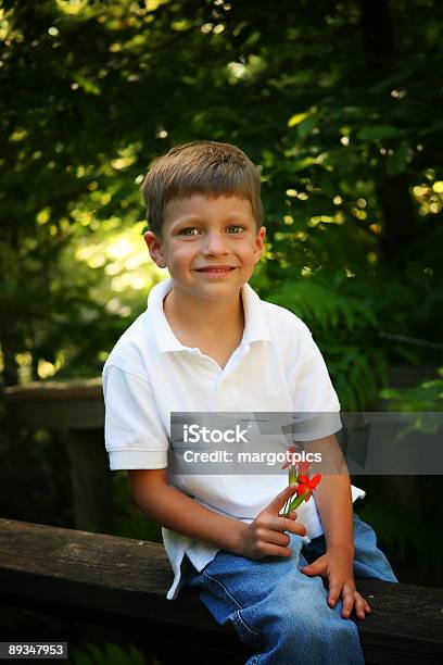 Ragazzo Nei Boschi - Fotografie stock e altre immagini di Albero - Albero, Allegro, Ambientazione esterna