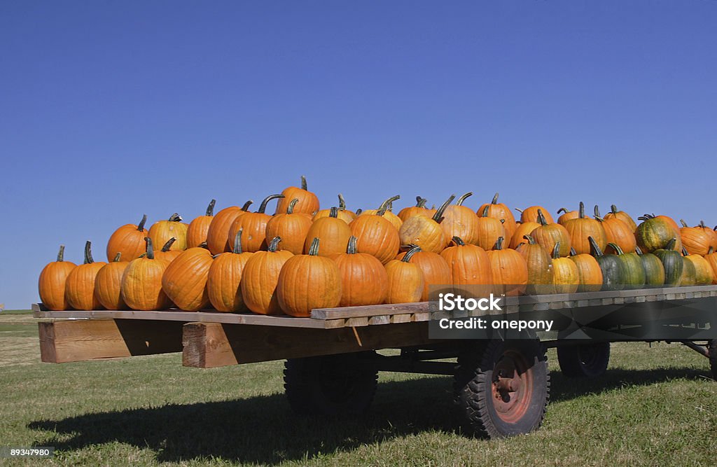 Vagón de calabaza - Foto de stock de Abundancia libre de derechos