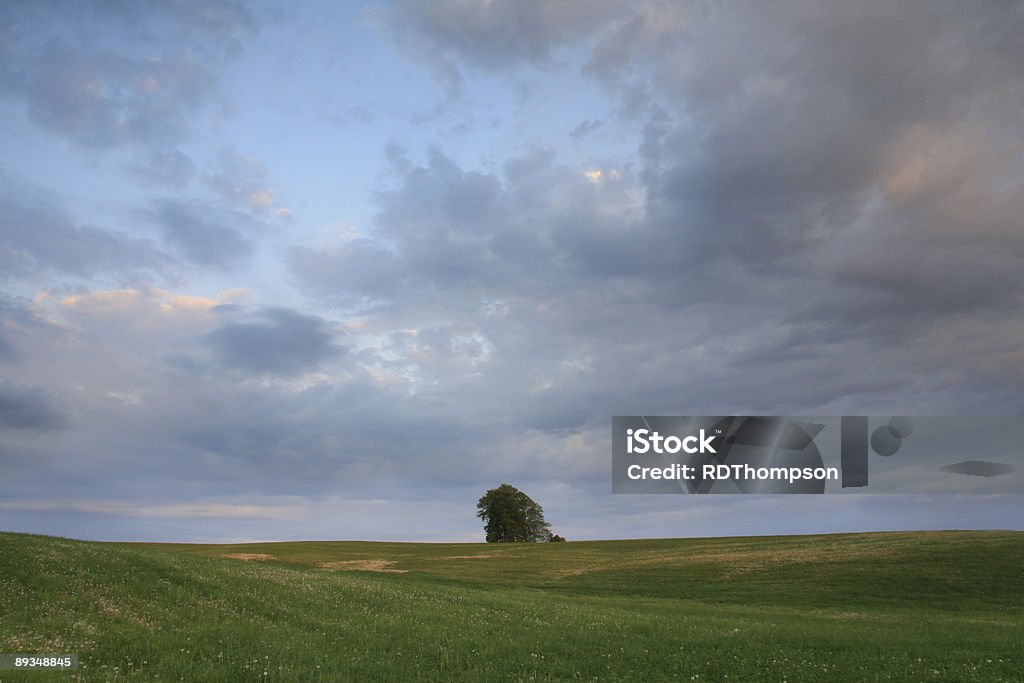 Lone Tree atardecer, Dubuque condado de Iowa - Foto de stock de Dubuque libre de derechos