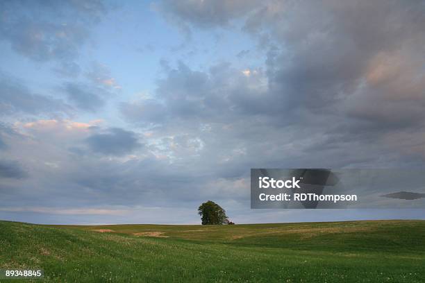 Lone Tree Pôr Do Sol Dubuque Condado De Iowa - Fotografias de stock e mais imagens de Dubuque - Dubuque, Iowa, Anoitecer