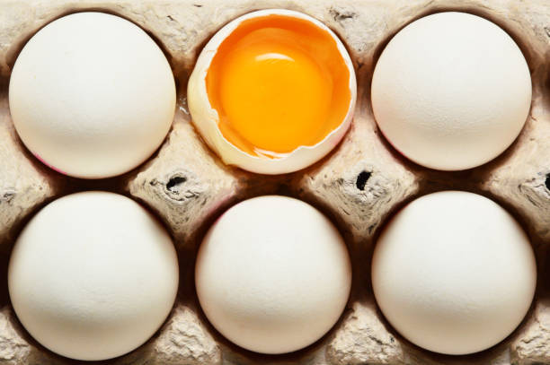 Broken Egg with Whole Eggs stock photo