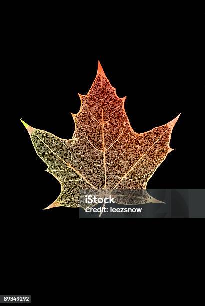 Wytrawione Jesień Liść Na Czarnym - zdjęcia stockowe i więcej obrazów Czarne tło - Czarne tło, Jesień, Liść