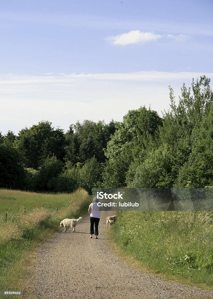 Donna camminare il suo cane nel parco in una giornata di sole - Foto stock royalty-free di Adulto