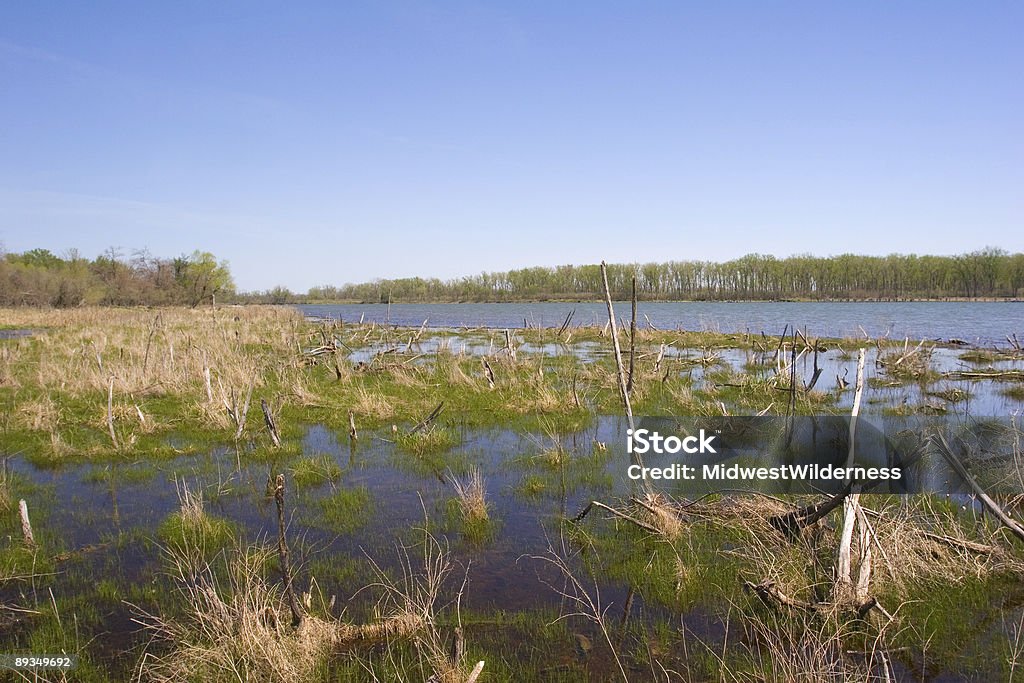 Marsh  Color Image Stock Photo