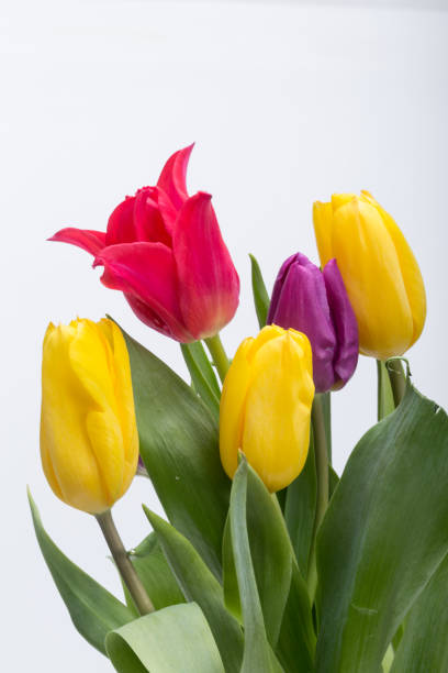 istock Flower bouquet from colorful tulips 893500306